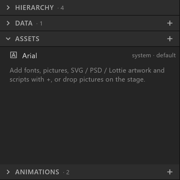 The Assets section